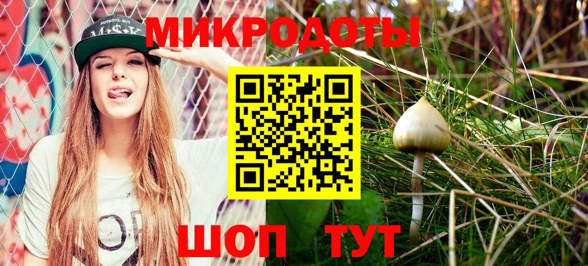 Галлюциногенные грибы Psilocybe Димитровград