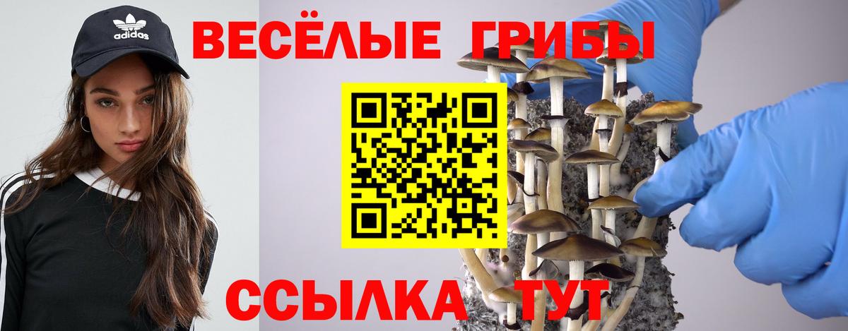 Псилоцибиновые грибы GOLDEN TEACHER  где купить   Димитровград  Вход с VPN 