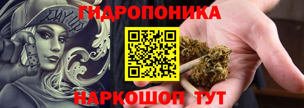 МАРИХУАНА план Димитровград